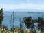 2 Ocean View Crescent, Rakino Island, Auckland - Carousel 7