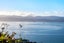 39B Bengal Street, Khandallah, Wellington, Wellington - Carousel 32