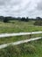 123 Totara Road, Whenuapai, Auckland - Carousel 4