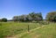 270 Orongo Road, Orongo, Thames - Carousel 18