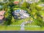 7 Burgundy Park Avenue, Henderson, Waitakere City, Auckland - Carousel 39