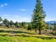 2280 Moutere Highway, Lower Moutere, Upper Moutere - Carousel 33