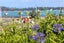 49 Tahatai Road, Oneroa, Waiheke Island - Carousel 22