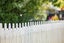 5 Winning Terrace, Dinsdale, Hamilton, Waikato - Carousel 25