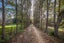 125 Silver Hill Road, Wellsford, Wellsford - Carousel 16