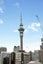 1315/26 Albert Street, Auckland Central, Auckland - Carousel 19