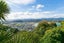 53 Hornsey Rd, Melrose, Wellington, Wellington - Carousel 6