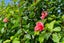 14 Woodland Road, Maungaturoto, Maungaturoto - Carousel 35