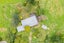 805 Croydon Road, Te Popo, Stratford - Carousel 5