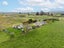 926 State Highway 5, Tirau - Carousel 22