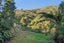 165 Boons Valley Road, Waikawa, Picton - Carousel 40