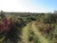 1022 Fairdown Road, Fairdown, Westport - Carousel 6