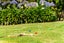64 De Boer Lane, Kaiwaka - Carousel 7