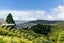 11 Asquith Terrace, Brooklyn, Wellington - Carousel 4