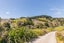 748 Weranui Road, Silverdale - Carousel 13