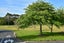 C13/210 Dairy Flat Highway, Albany, Auckland - Carousel 26