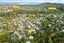 59F Konini Road, Titirangi, Auckland - Carousel 24