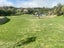 4 Minden Hill Lane, Minden, Tauranga - Carousel 9