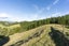 27 Hukerenui Road, Hikurangi - Carousel 13