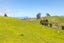 7 Dorset Road, Hillsborough, New Plymouth - Carousel 19