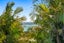 134 Stanmore Bay Road, Stanmore Bay, Whangaparaoa - Carousel 15