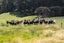 2092 Kaipara Coast HWY, Makarau , Warkworth - Carousel 13