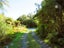 304 Mokihinui Preserve, SEDDONVILLE, WESTPORT - Carousel 16
