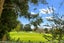 595A Richardson Road, Mount Roskill, Auckland - Carousel 1