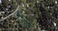 29 Crescent Road East, Ostend, Waiheke Island - Carousel 3