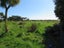 32 Elley Drive, Carters Beach, Westport - Carousel 6