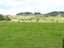 0 Wharekawa Road, Oue, Kaikohe - Carousel 15