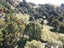 6340 Route 52, Dannevirke - Carousel 12