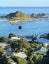 16 Beach Street, Island Bay, Wellington - Carousel 2