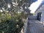 42 Fordham Street, Beach Haven, Auckland - Carousel 8