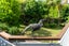 8 Kilduff Place, Mairangi Bay, Auckland - Carousel 20