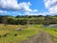 1344 State Highway 12, Oue, Kaikohe - Carousel 23