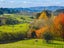 1984 Hunua Road, Papakura - Carousel 4
