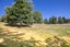 156 Dalefield Road, Dalefield, Queenstown - Carousel 10