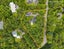 15 Korimako Avenue, Otatara - Carousel 36