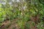 16 Hillside Lane, The Brook, Nelson - Carousel 26