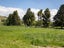 0 Teviot Road, Roxburgh East, Roxburgh - Carousel 3