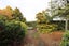 153 Flora Road East, Makarewa, Invercargill - Carousel 33