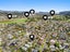 28 Omaha Grove, Totara Park, Upper Hutt - Carousel 24