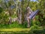 191 Taumata Island Road, Taumata Island - Carousel 7