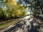 196 Chapman Road, Earnscleugh, Alexandra - Carousel 13