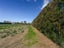 272 Meeanee Road, Meeanee, Napier - Carousel 4