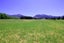7 William Jones Place, Hanmer Springs, Hanmer Springs - Carousel 17