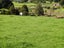 543 Three Mile Bush Road, Te Kamo, Whangarei - Carousel 20