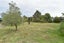 790 Hills Road, Marshland, Christchurch - Carousel 23