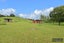 684 Marua Road, Hikurangi, Hikurangi - Carousel 4